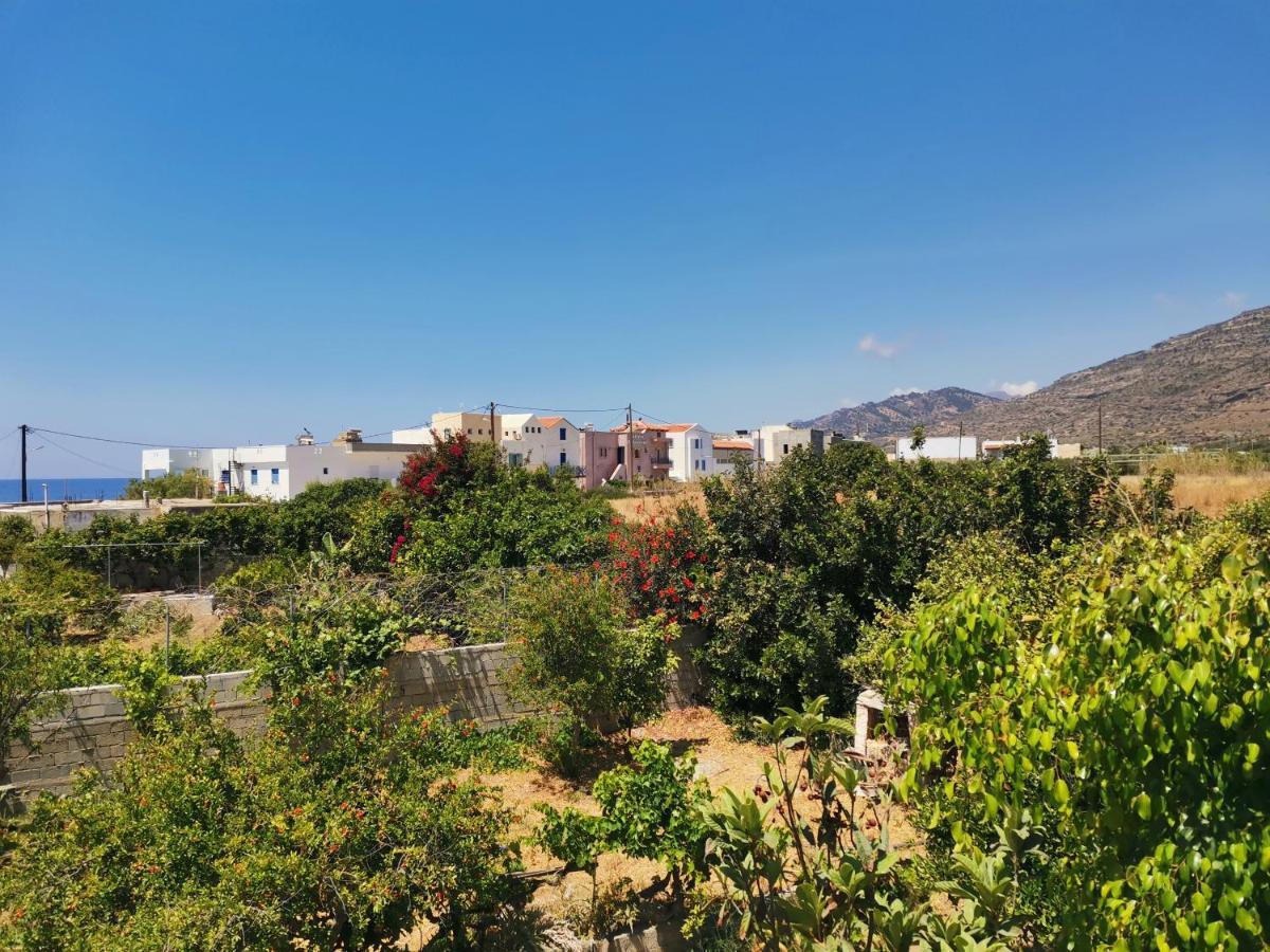 Βig Βlue Apartments Makrýgialos 외부 사진