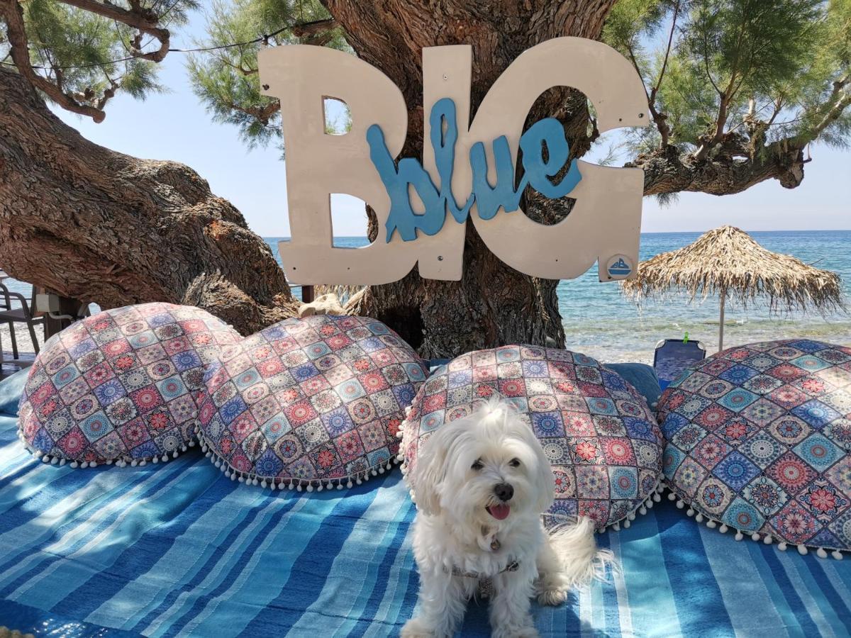 Βig Βlue Apartments Makrýgialos 외부 사진