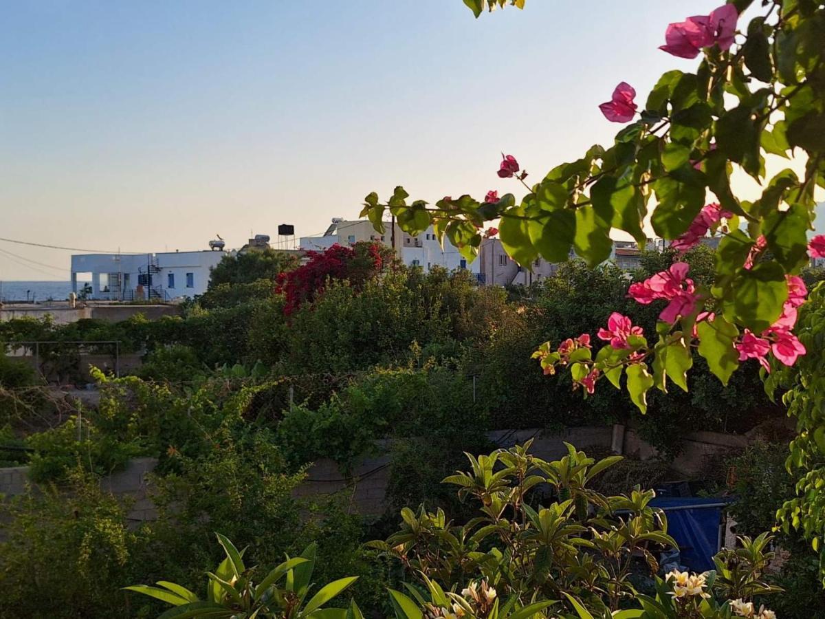 Βig Βlue Apartments Makrýgialos 외부 사진