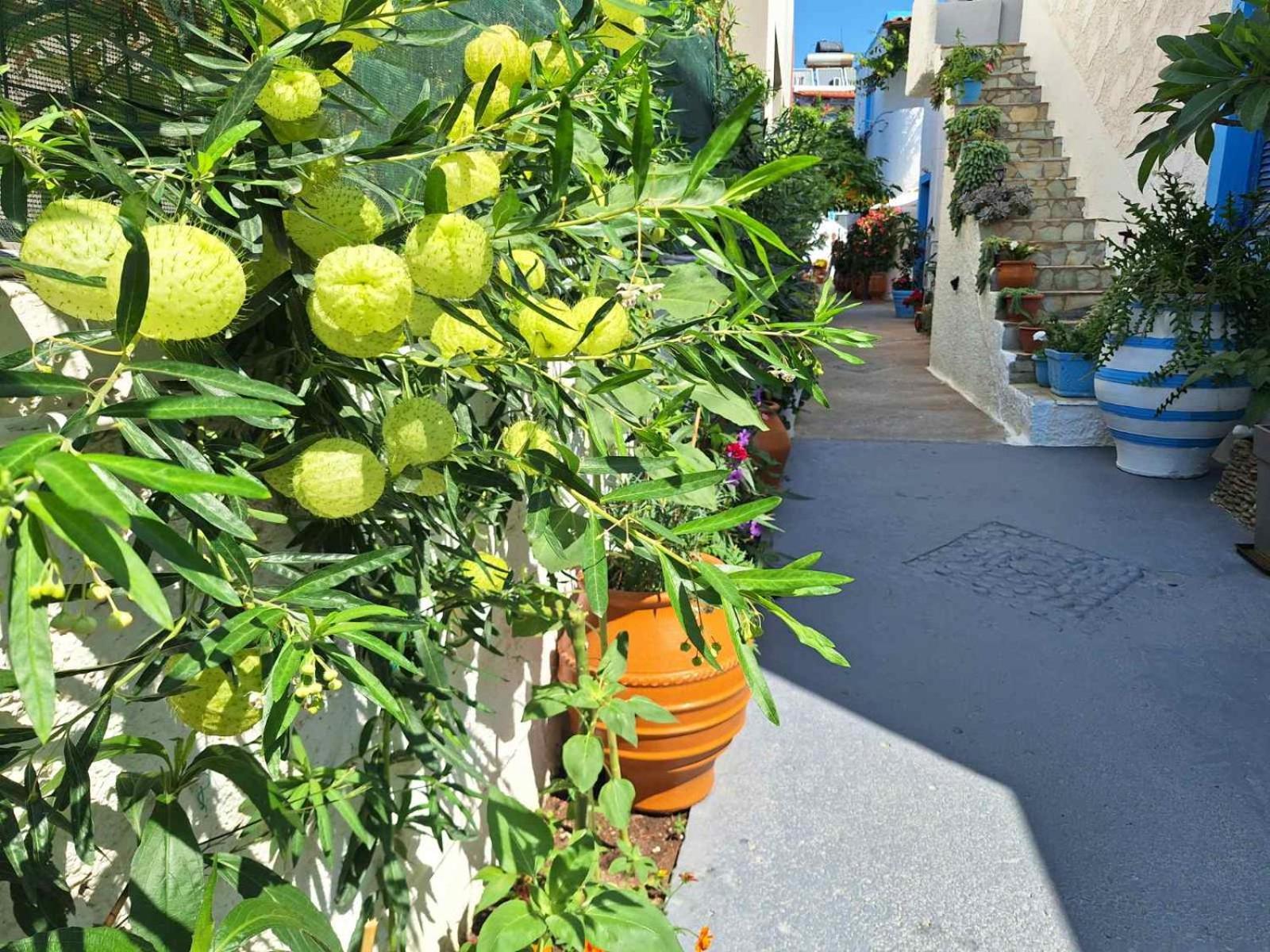 Βig Βlue Apartments Makrýgialos 외부 사진