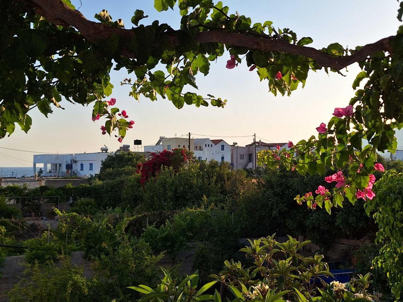 Βig Βlue Apartments Makrýgialos 외부 사진