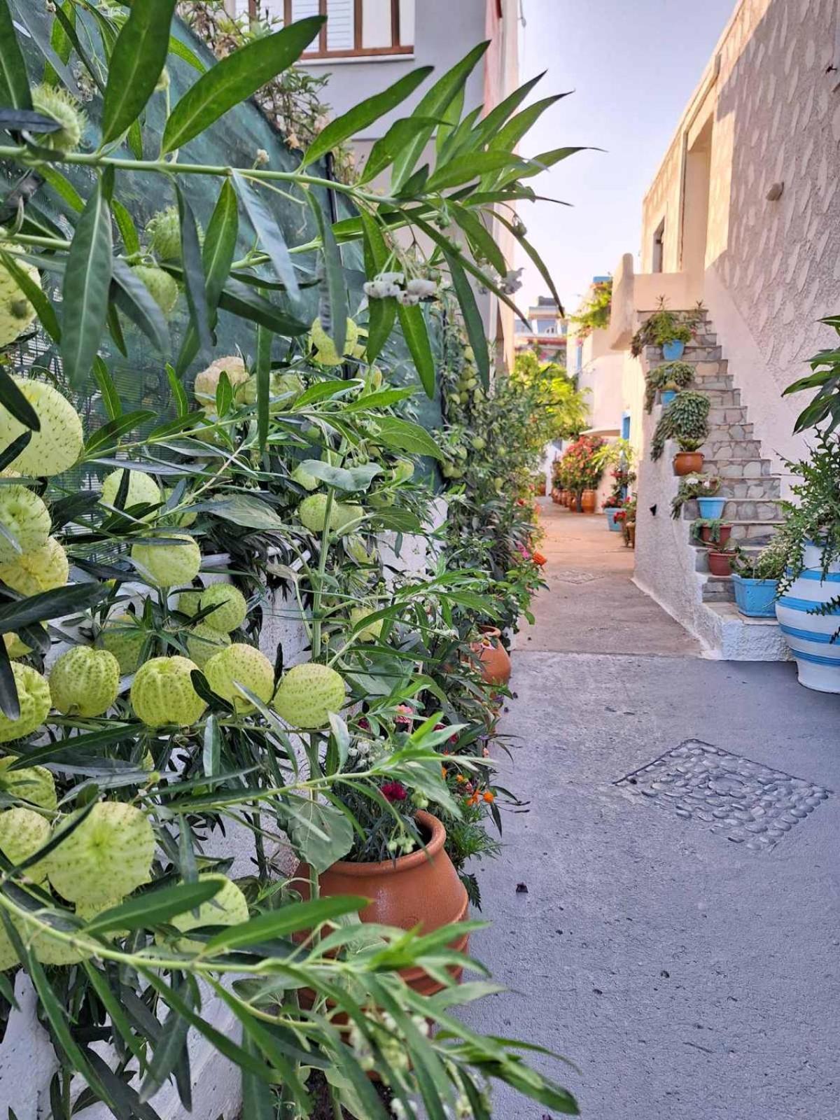 Βig Βlue Apartments Makrýgialos 외부 사진