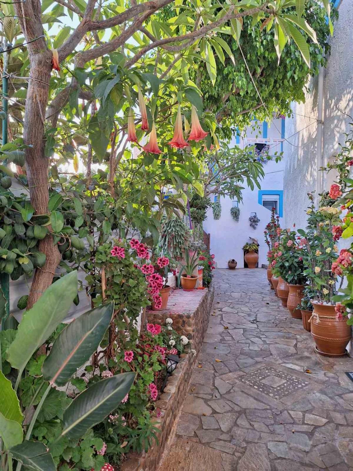 Βig Βlue Apartments Makrýgialos 외부 사진