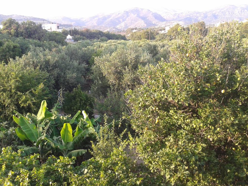 Βig Βlue Apartments Makrýgialos 객실 사진