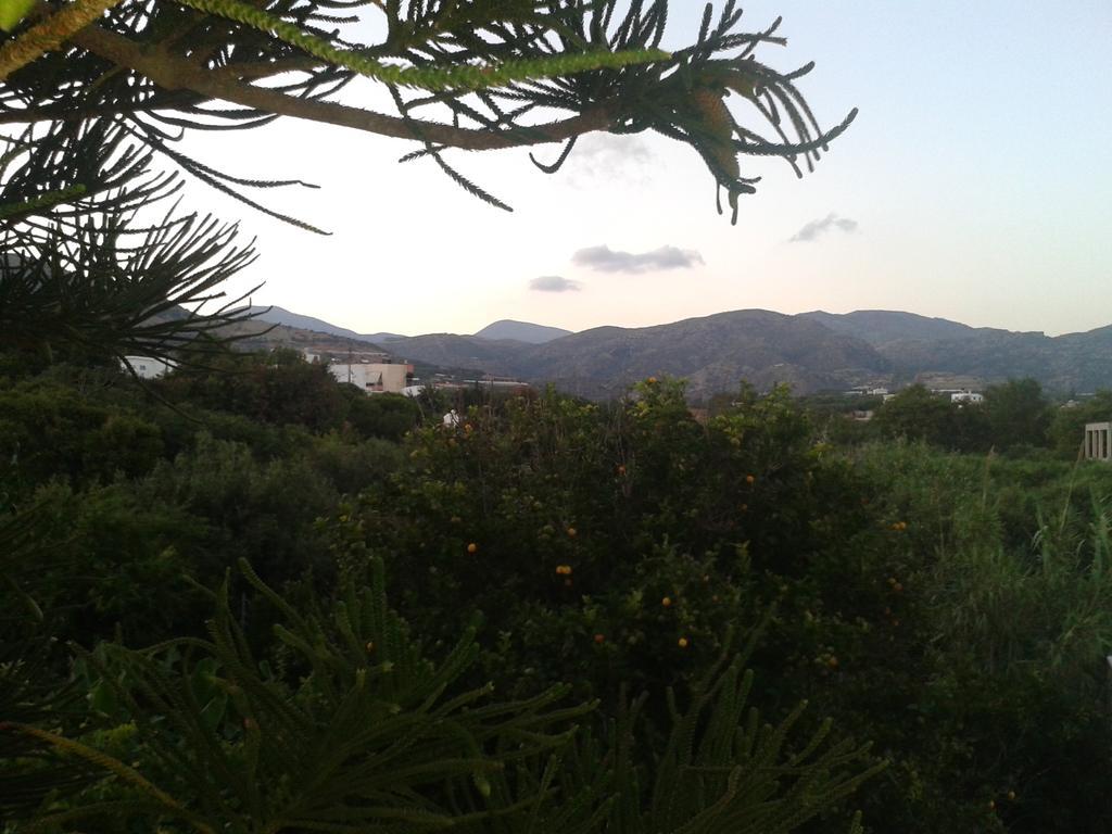 Βig Βlue Apartments Makrýgialos 객실 사진